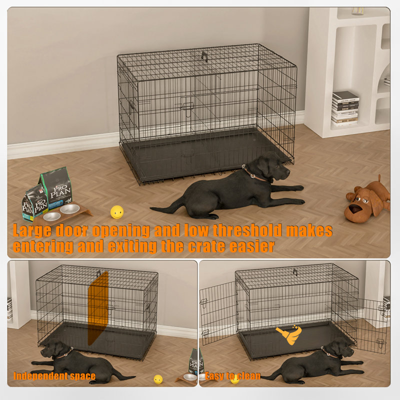 Tucker Murphy Pet Collapsible Portable Folding Steel Wire Dog Crate Cage Kennel Reviews Wayfair